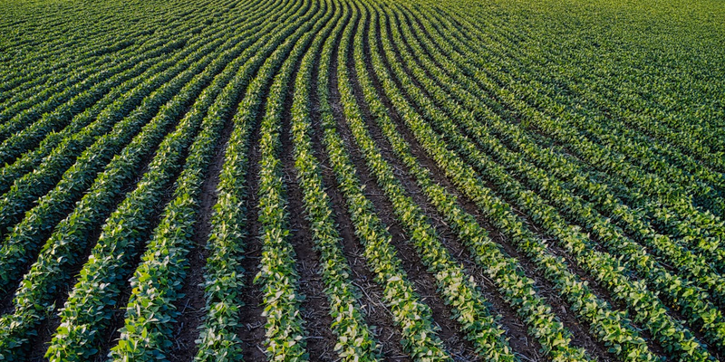 Seguro Rural: o Risco de Safra que Recai no CRA