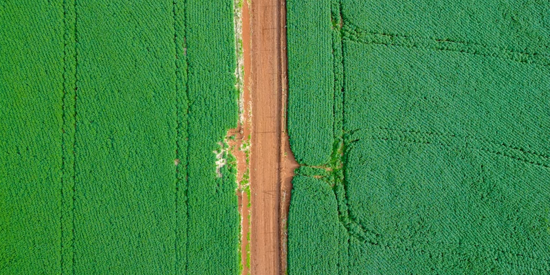 Eco Invest e CRAs Verdes: Funding Sustentável em Escala