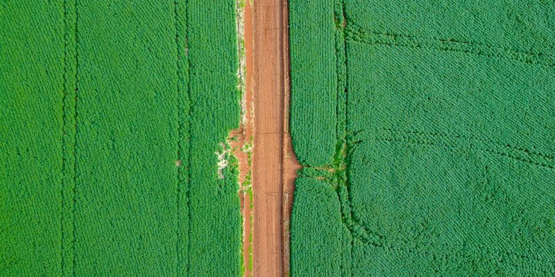 Eco Invest e CRAs Verdes: Funding Sustentável em Escala