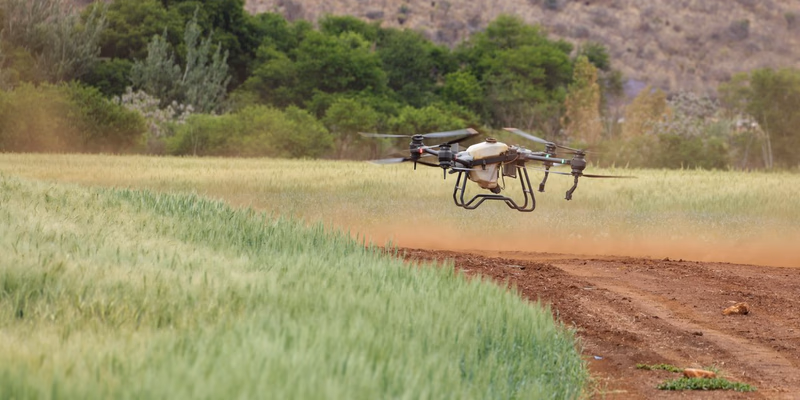 Open Finance do Agro: o Dado que Falta ao Crédito