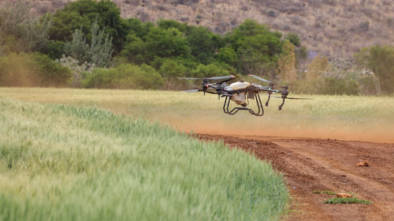 Open Finance do Agro: o Dado que Falta ao Crédito